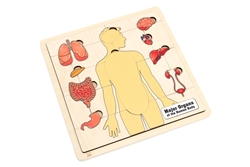 Human Major Organs Puzzle