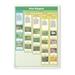 Montessori Materials: Plant Kingdom Chart