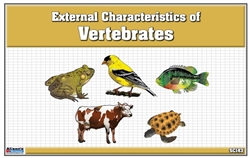 Classified Nomenclature of External Parts of Vertebrates (Printed)