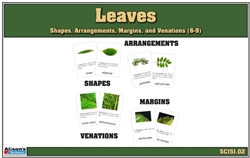 Leaves - Shapes, Arrangements, Venations, and Margins Nomenclature Cards (6-9) (Printed)