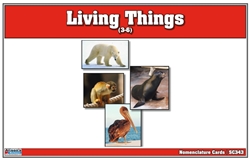 Living Things Nomenclature Cards (Printed)