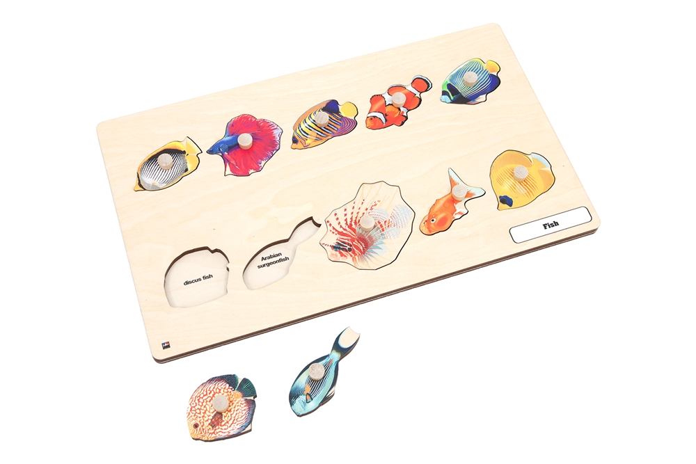 Montessori Materials: Types of Fish Puzzle