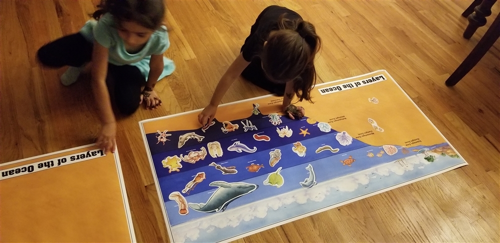 Montessori Materials: Layers of the Ocean Chart