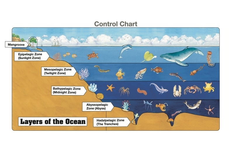 Montessori Materials: Layers of the Ocean Puzzle with Research Cards