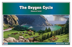 The Oxygen Cycle Research Cards