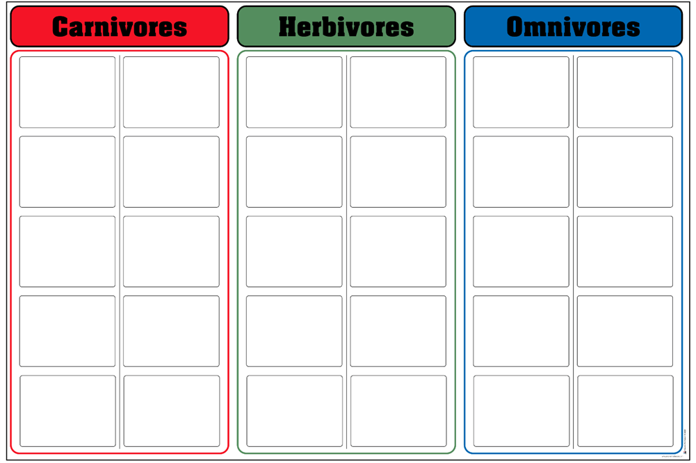 herbivorous animals chart