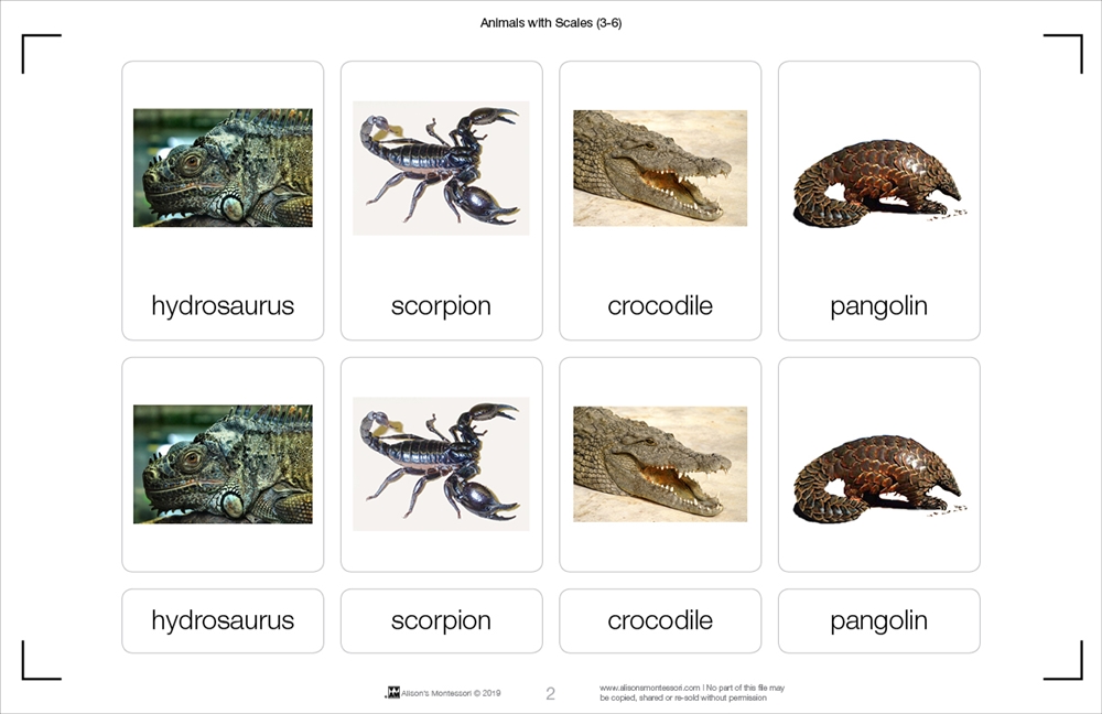 Montessori Materials: Animals with Scales