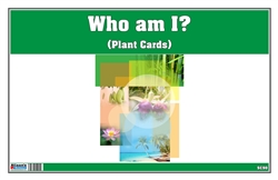 Who am I? Plant Cards (Printed)