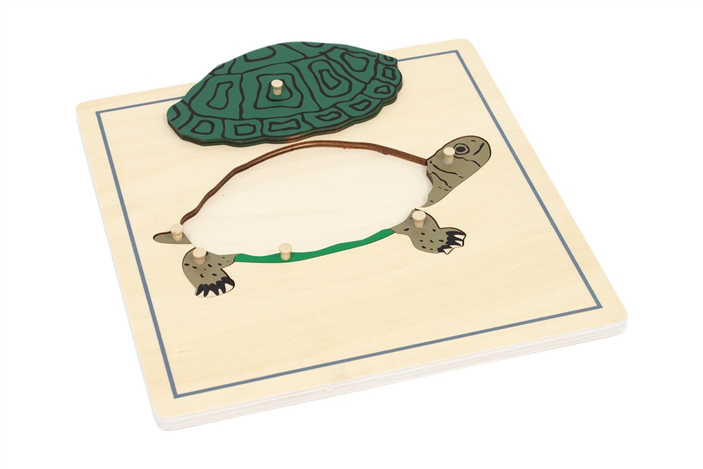 Montessori Materials: Parts of a Turtle Puzzle with Nomenclature