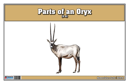 Montessori Materials: Parts of an Oryx (Printed)