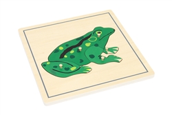 Parts of a Frog Puzzle