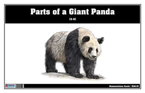 Parts of a Giant Panda (Printed)
