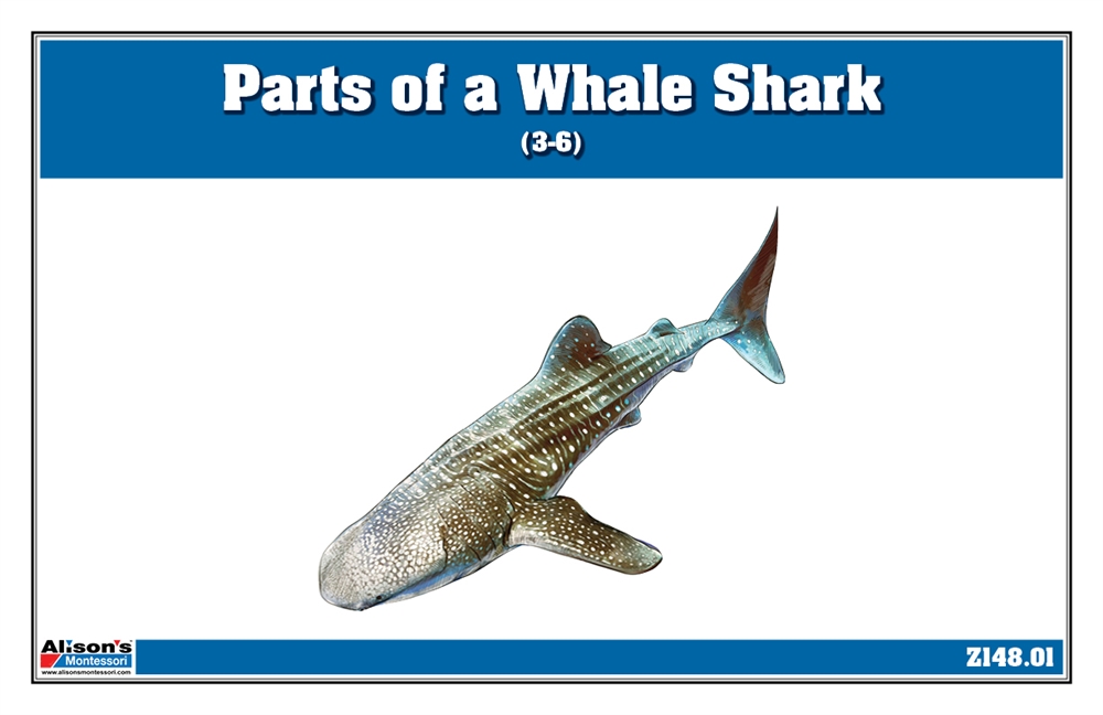 Montessori Materials: Parts of a Whale Shark (3-6)