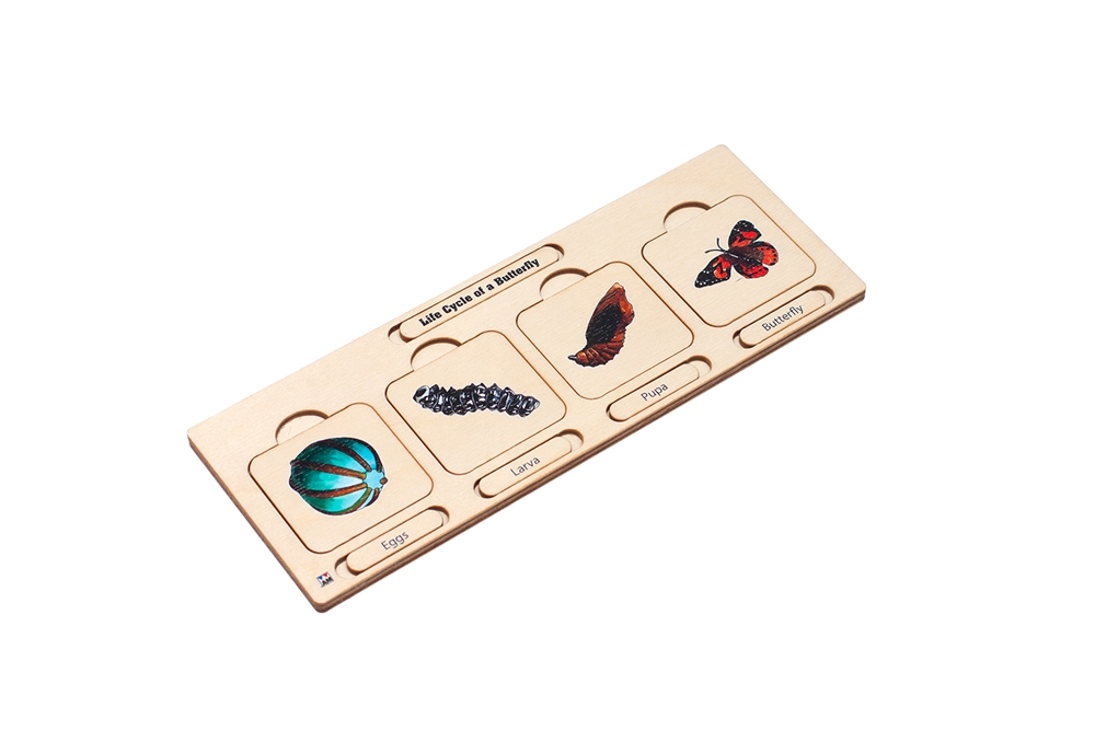 Life Cycle Puzzle: Butterfly 