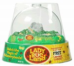 Ladybug Land