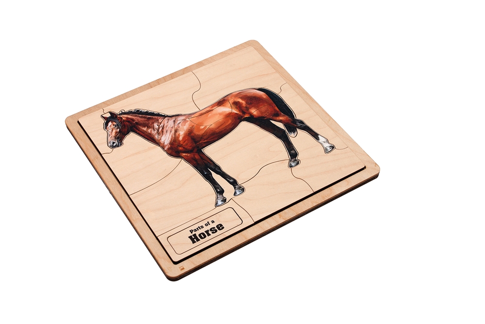  Parts of a Horse Puzzle (Elementary)