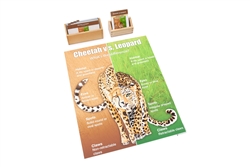 Cheetah vs Leopard Chart with Cards