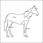Labeled and Unlabeled Control Charts for Horse, Bird, Frog, Turtle, and Fish (PDF File)