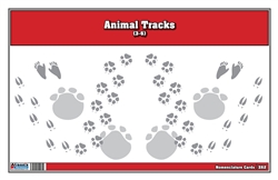 Animal Track Nomenclature Cards (Printed)