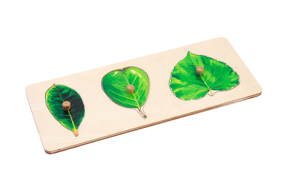  Three Leaves Puzzle