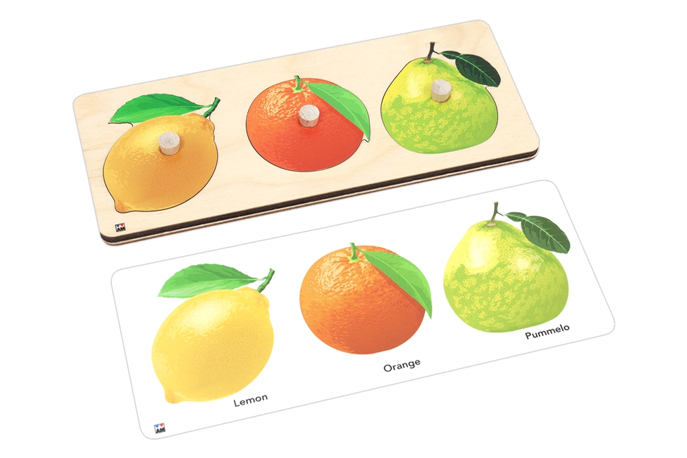  Citrus Fruits Puzzle