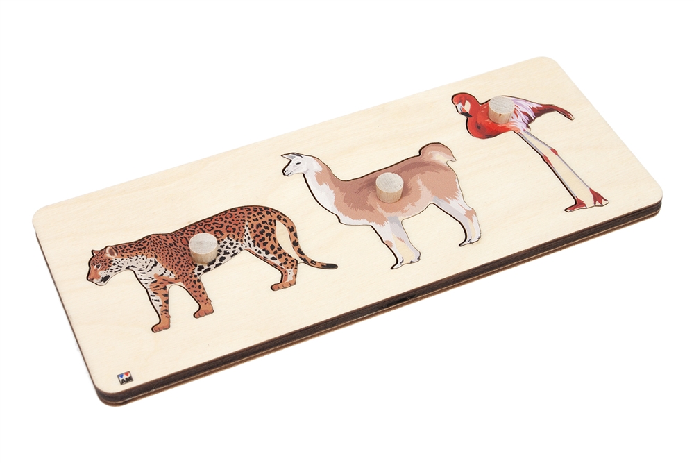 Animals of South America Puzzle 